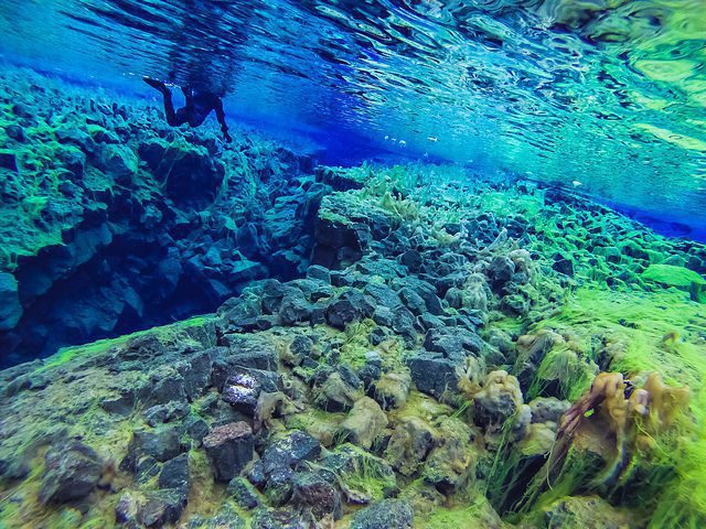 Parc national de Silfra en Islande