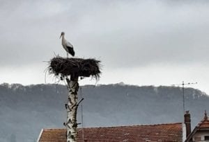 Chambre d'hôtes gay friendly à Verdun