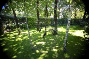 ECRIN DE VERDURE
