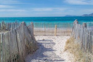 almanarre2