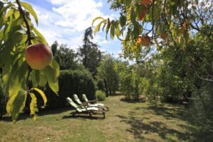 Gite gay près d'Albi et de Toulouse