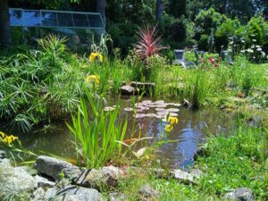 IMG_20210601_124955 (Copier)