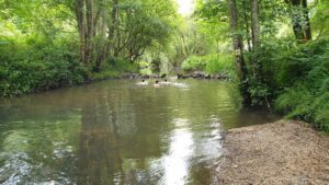 garcons nage rivière beuvron