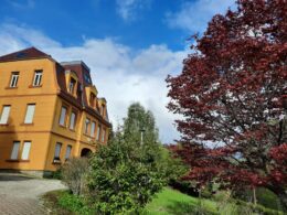 Prenez de la hauteur avec le Studio Soleil au Hohwald